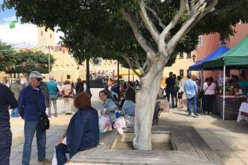 El VIII Mercado Agrícola de La Pardilla, un éxito (Foto TA)